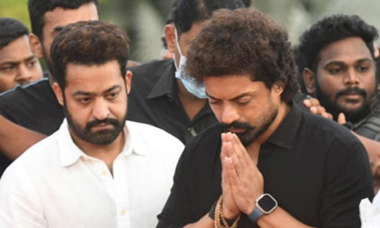 Breaking Telugu News