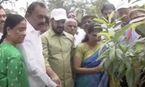 Revanth Reddy Planted Tree