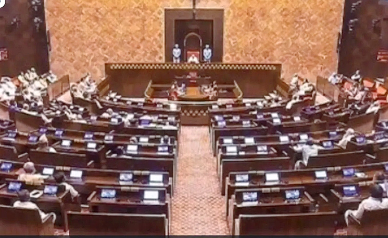 Vice Presidential Election