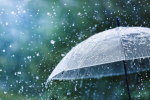 Continuous steady showers: హైదరాబాద్ లో కంటిన్యూగా ముసురు…