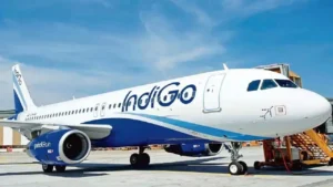 Indigo Offers 10000 Travel Vouchers: ప్రయాణికులకు ఇండిగో స్పెషల్ ఆఫర్…