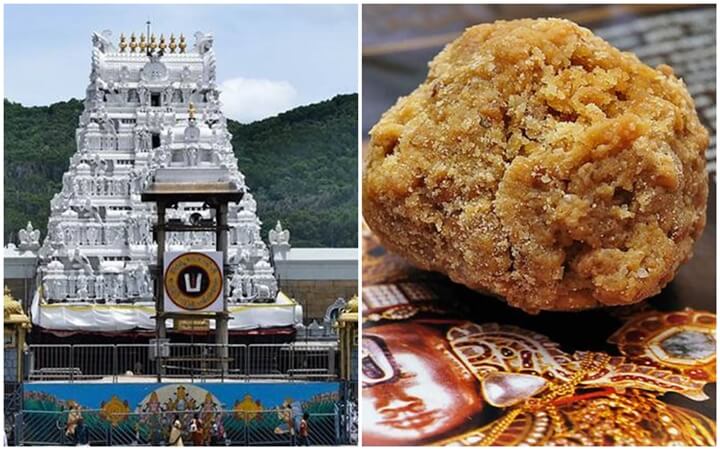 Tirumala Laddu Sales