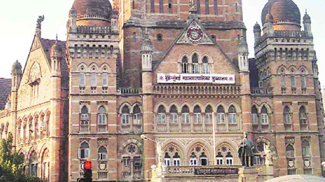 BMC Elections