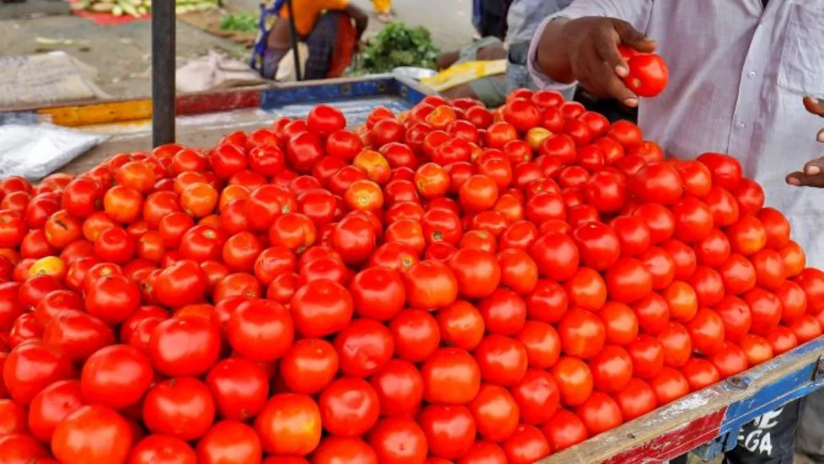 Tomato Price Drop