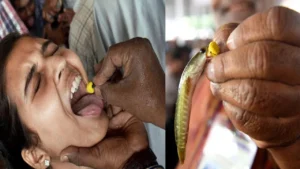 Fish Prasadam 2026 At Nampally: నాంపల్లి ఎగ్జిబిషన్ గ్రౌండ్లో చేపమందు ప్రసాదం పంపిణీ..