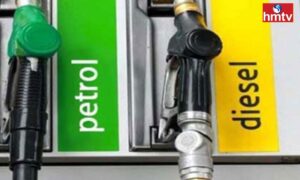 Petrol and Diesel: పెట్రోల్ డీజిల్ రేట్ల గురించి కీలక అప్‌డేట్…
