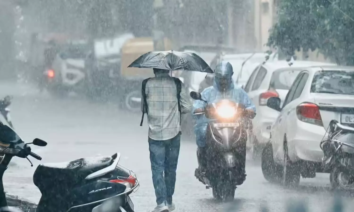 Mumbai Rains Schools And Colleges Closed