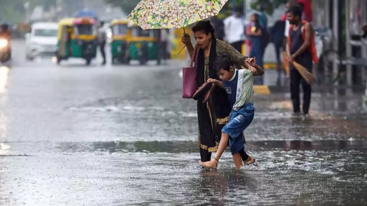 Rain Alert