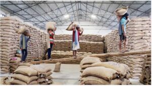India Rice Exports: కేవలం 5 నెలల్లో బియ్యం ఎగుమతులతో రూ.45,739 కోట్లు..