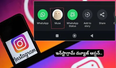 Instagram Muse Ai Agent